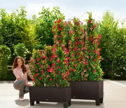 LECHUZA® Pflanzkübel & Blumenkästen|Lechuza Pflanzgefäße & Töpfe - Polyrattan-Kasten Trio Cottage, rechteckig Braun