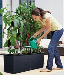 LECHUZA® Pflanzkübel & Blumenkästen|Lechuza Pflanzgefäße & Töpfe - Polyrattan-Kasten Trio Cottage, rechteckig Schwarz