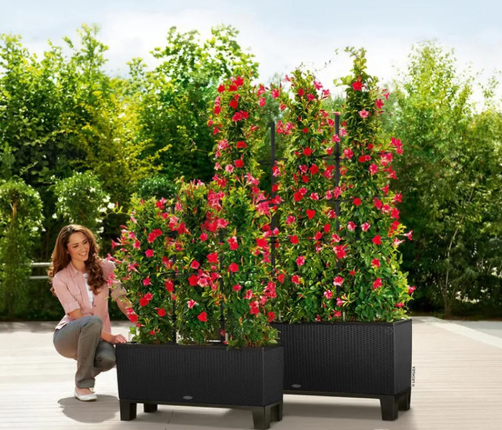 LECHUZA® Pflanzkübel & Blumenkästen|Lechuza Pflanzgefäße & Töpfe - Polyrattan-Kasten Trio Cottage, rechteckig Schwarz