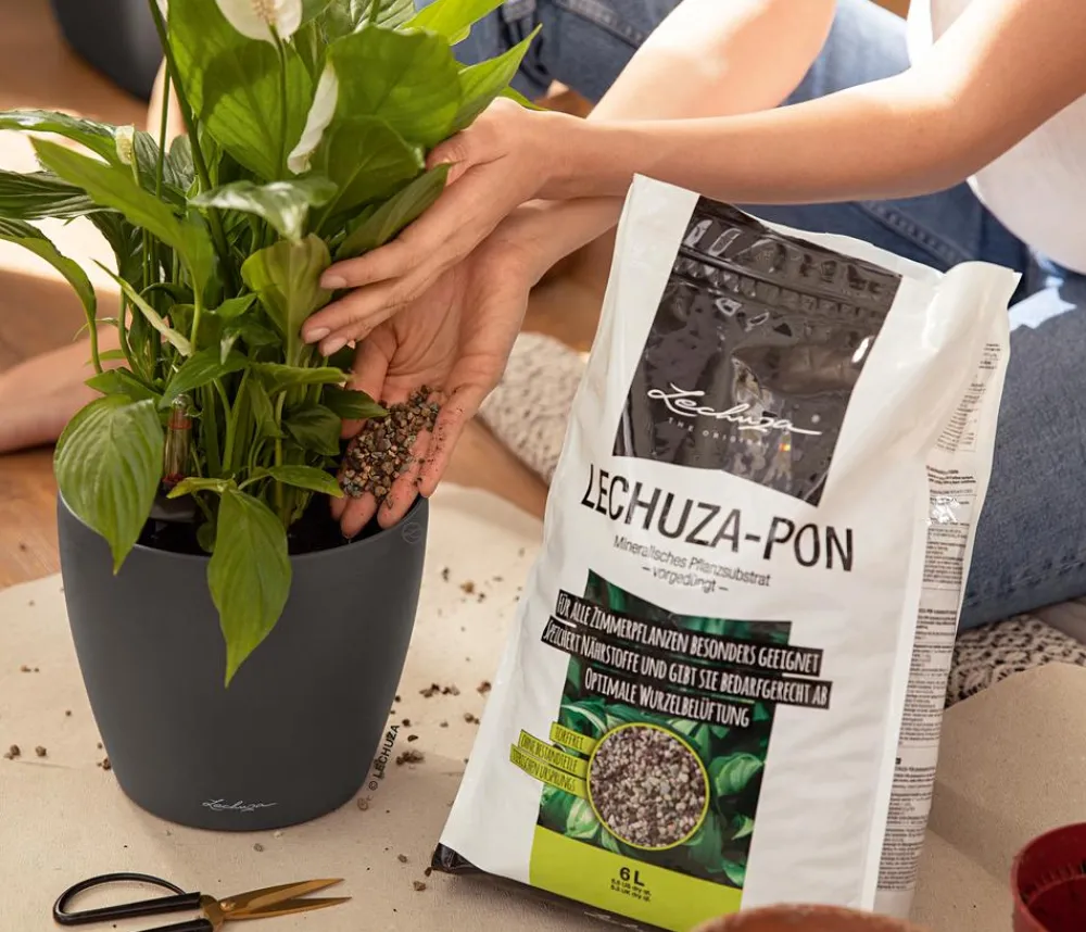 LECHUZA® Torf & Blähton|Spezialerde - -PON Pflanzensubstrat