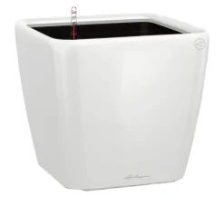 LECHUZA® Lechuza Pflanzgefäße & Töpfe|Lechuza Tischgefäße > QUADRO LS, All-in-One-Set