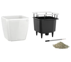 LECHUZA® Lechuza Pflanzgefäße & Töpfe|Lechuza Tischgefäße > QUADRO LS, All-in-One-Set