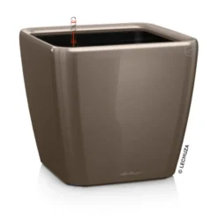 LECHUZA® Lechuza Pflanzgefäße & Töpfe|Lechuza Tischgefäße > QUADRO LS, All-in-One-Set