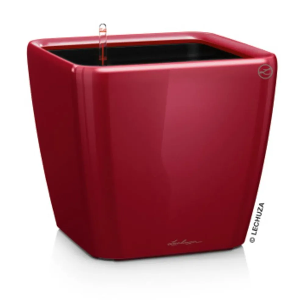 LECHUZA® Lechuza Pflanzgefäße & Töpfe|Lechuza Tischgefäße > QUADRO LS, All-in-One-Set