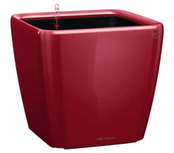 LECHUZA® Lechuza Pflanzgefäße & Töpfe|Lechuza Tischgefäße > QUADRO LS, All-in-One-Set