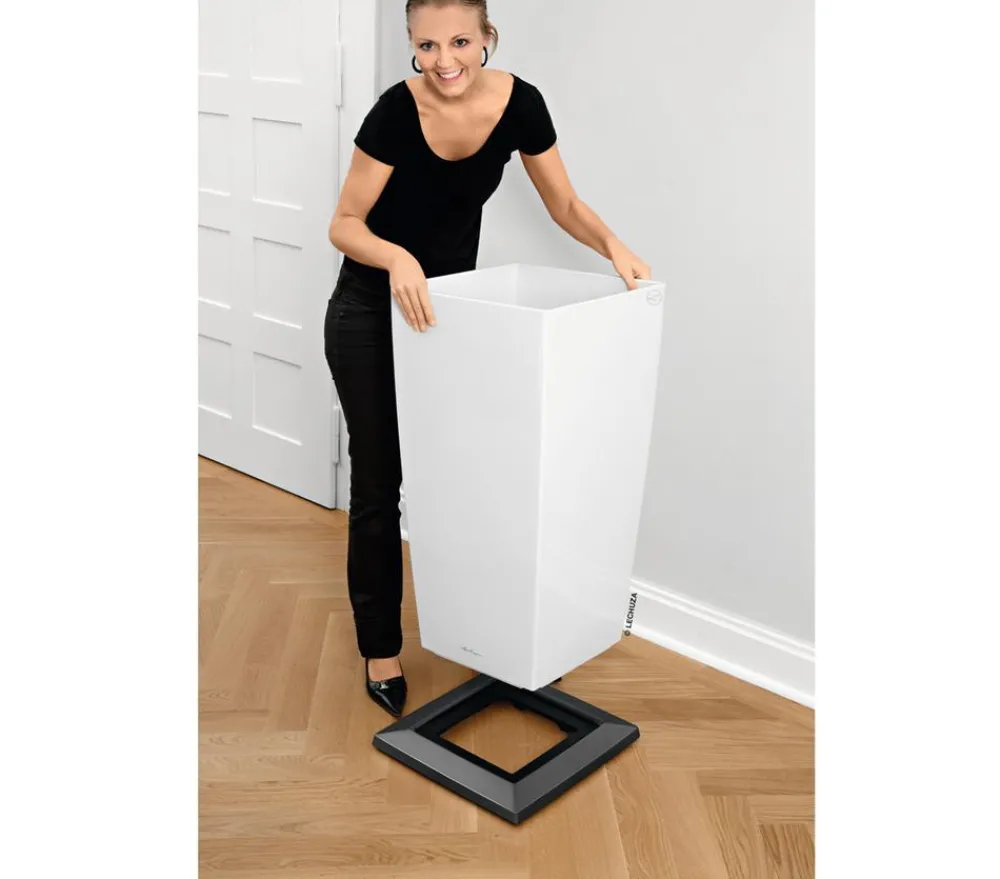 LECHUZA® Rolluntersetzer CUBICO Dunkelgrau Online