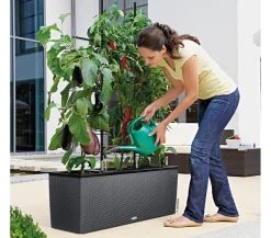LECHUZA® Trio Cottage Rankgitter, , ca. B86/H135 cm Schwarz Discount