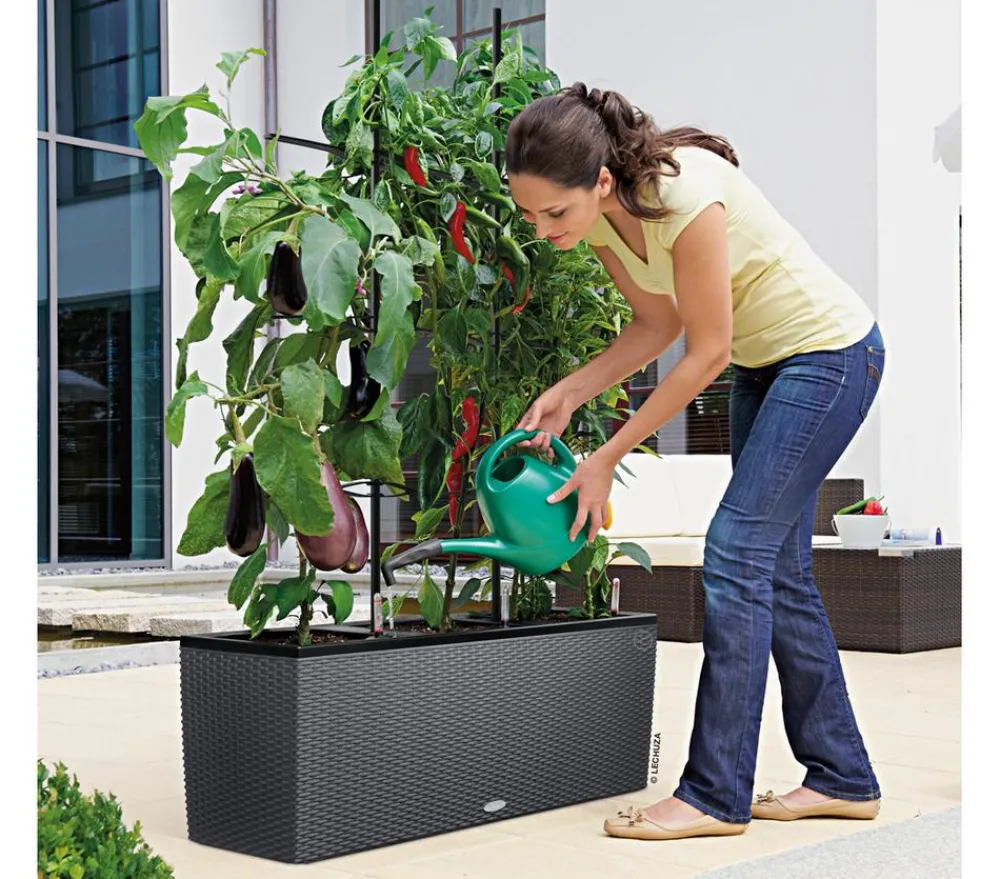 LECHUZA® Trio Cottage Rankgitter, , ca. B86/H135 cm Schwarz Discount