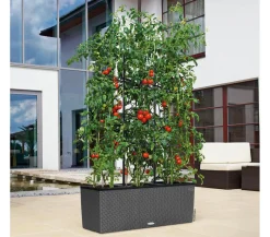 LECHUZA® Trio Cottage Rankgitter, , ca. B113/H170 cm Schwarz Hot