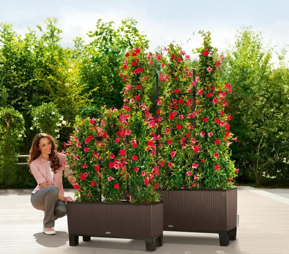 LECHUZA® Trio Cottage Rankgitter, , ca. B113/H170 cm Schwarz Hot