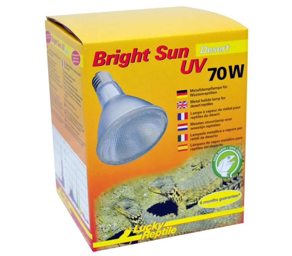 Lucky Reptile Terrarientechnik > Bright Sun UV Desert