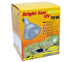 Lucky Reptile Bright Sun UV Desert Clearance