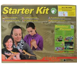 Lucky Reptile Terrarium - Starter Kit Komplettset Bombina/Pacman, ca. B50/H40/T28 cm Schwarz
