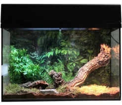 Lucky Reptile Terrarium - Starter Kit Komplettset Spinnen/Skorpione, ca. B50/H40/28 cm Schwarz