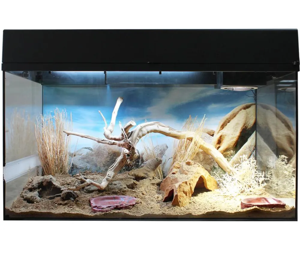 Lucky Reptile Terrarium > Starter Kit Komplettset Bartagame, ca. B80/H52/T40 cm