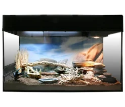 Lucky Reptile Terrarium > Starter Kit Komplettset Bartagame, ca. B80/H52/T40 cm