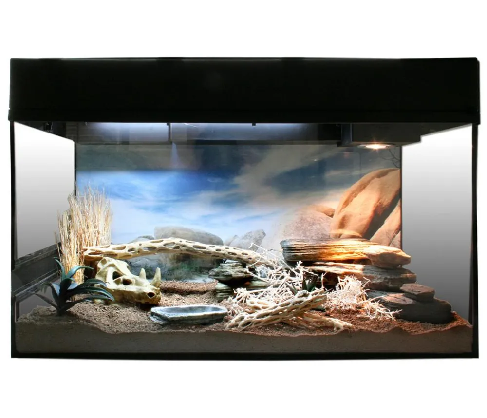 Lucky Reptile Terrarium > Starter Kit Komplettset Bartagame, ca. B80/H52/T40 cm