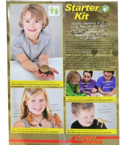 Lucky Reptile Terrarium > Starter Kit Komplettset Bartagame, ca. B80/H52/T40 cm