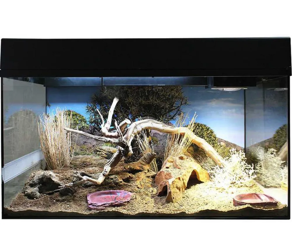 Lucky Reptile Terrarium > Starter Kit Komplettset Bartagame, ca. B80/H52/T40 cm