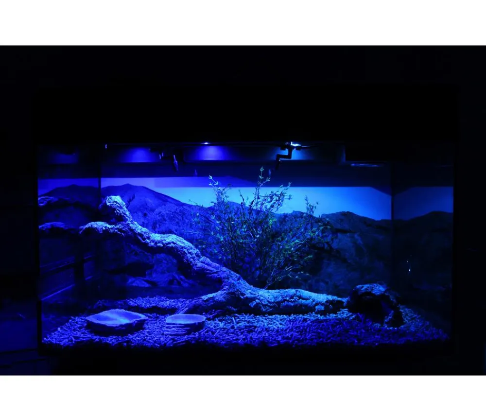 Lucky Reptile Terrarium > Starter Kit Komplettset Bartagame, ca. B80/H52/T40 cm