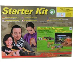Lucky Reptile Terrarium > Starter Kit Komplettset Bartagame, ca. B80/H52/T40 cm