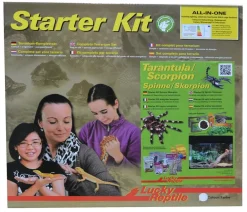 Lucky Reptile Starter Kit Komplettset Spinnen/Skorpione, ca. B50/H40/28 cm Weiß