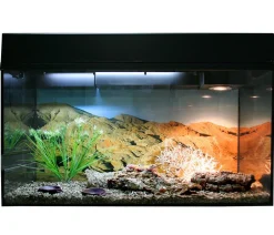 Lucky Reptile Terrarium - Starter Kit Komplettset Leopardgecko, ca. B80/H52/T40 cm Schwarz