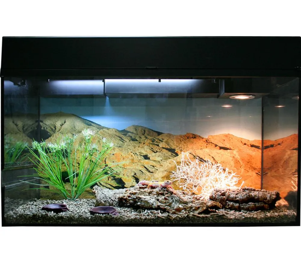 Lucky Reptile Terrarium - Starter Kit Komplettset Leopardgecko, ca. B80/H52/T40 cm Schwarz