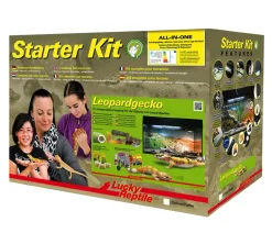 Lucky Reptile Terrarium - Starter Kit Komplettset Leopardgecko, ca. B80/H52/T40 cm Schwarz