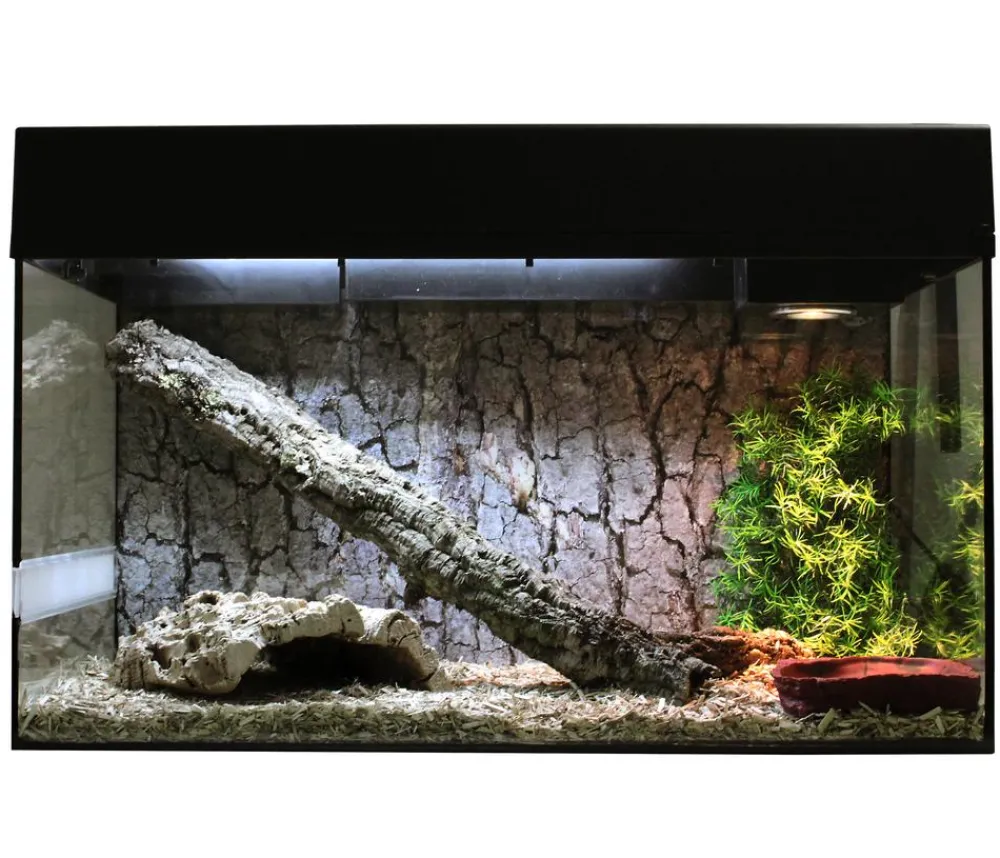 Lucky Reptile Terrarium - Terrarium Starter Kit Komplettset Schlangen Schwarz