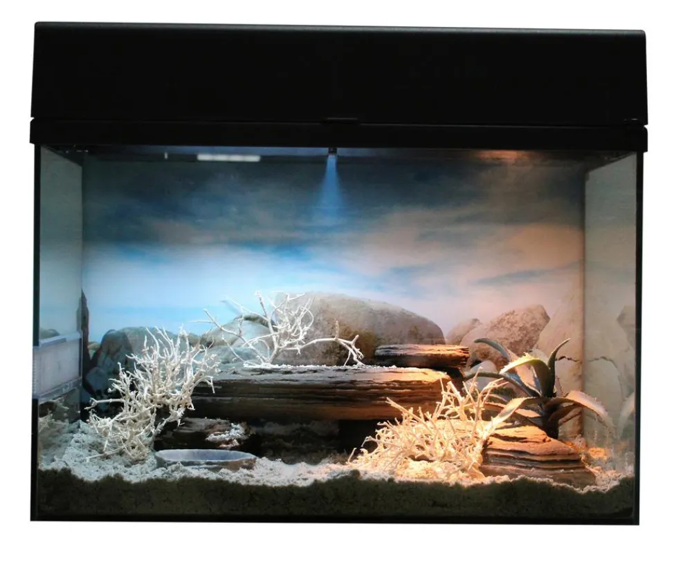 Lucky Reptile Terrarium > Terrarium Starter Kit Wüstengecko, ca. B50/H40/T28 cm