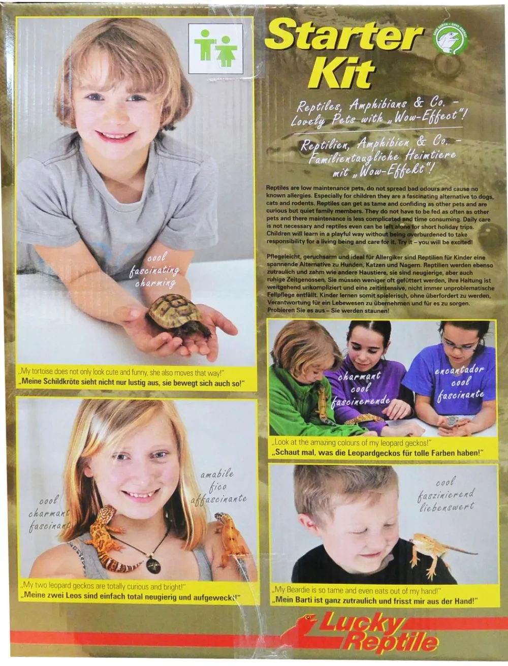 Lucky Reptile Terrarium > Terrarium Starter Kit Wüstengecko, ca. B50/H40/T28 cm