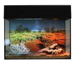 Lucky Reptile Terrarium > Terrarium Starter Kit Wüstengecko, ca. B50/H40/T28 cm