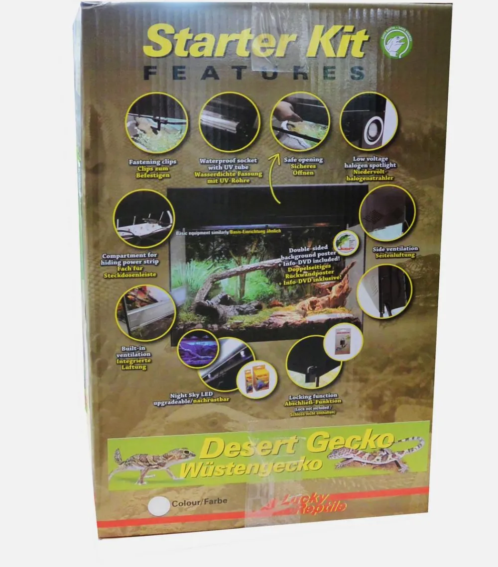 Lucky Reptile Terrarium > Terrarium Starter Kit Wüstengecko, ca. B50/H40/T28 cm