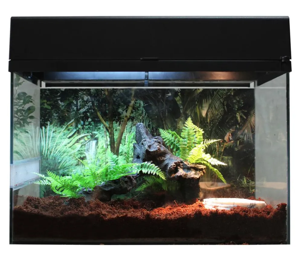 Lucky Reptile Terrarium > Terrarium Starter Kit Wüstengecko, ca. B50/H40/T28 cm