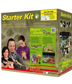 Lucky Reptile Terrarium > Terrarium Starter Kit Wüstengecko, ca. B50/H40/T28 cm