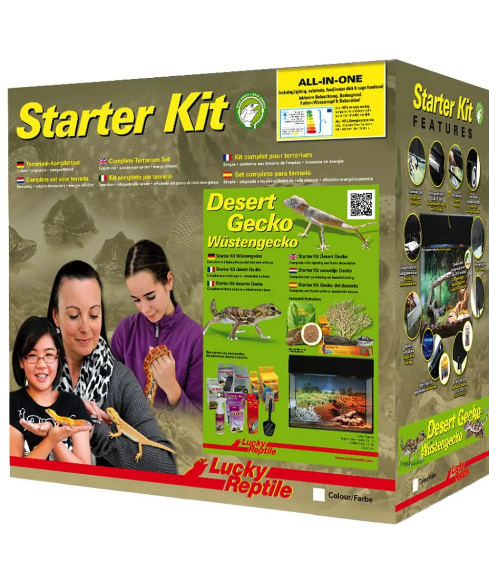 Lucky Reptile Terrarium > Terrarium Starter Kit Wüstengecko, ca. B50/H40/T28 cm