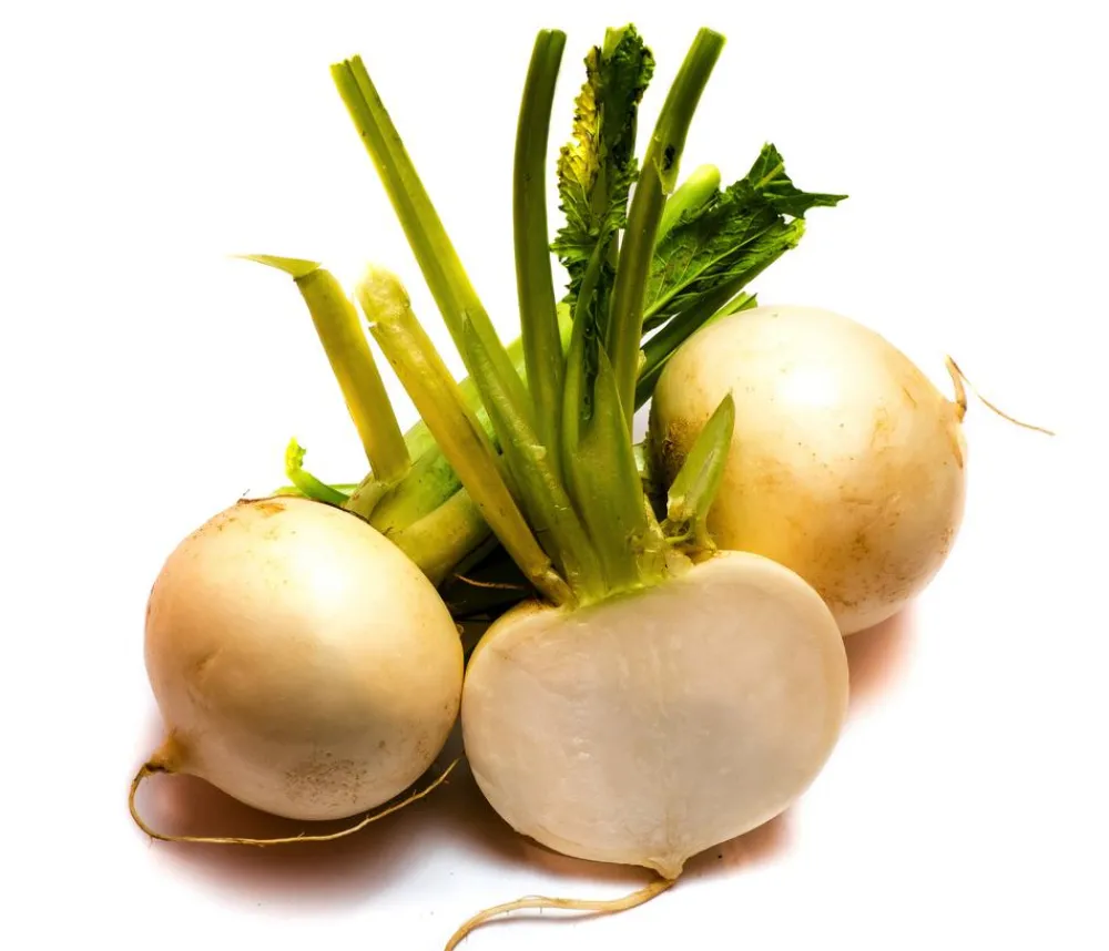 Dehner Gartengemüse|Kohl- & Salatpflanzen - Mairübe, 12er Schale Creme
