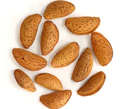 Dehner Nüsse & Besondere Obstbäume|Obstbäume - Mandelbaum Braun