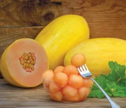 Dehner Gartengemüse|Melonen- & Kürbispflanzen - Mangomelone Gelb