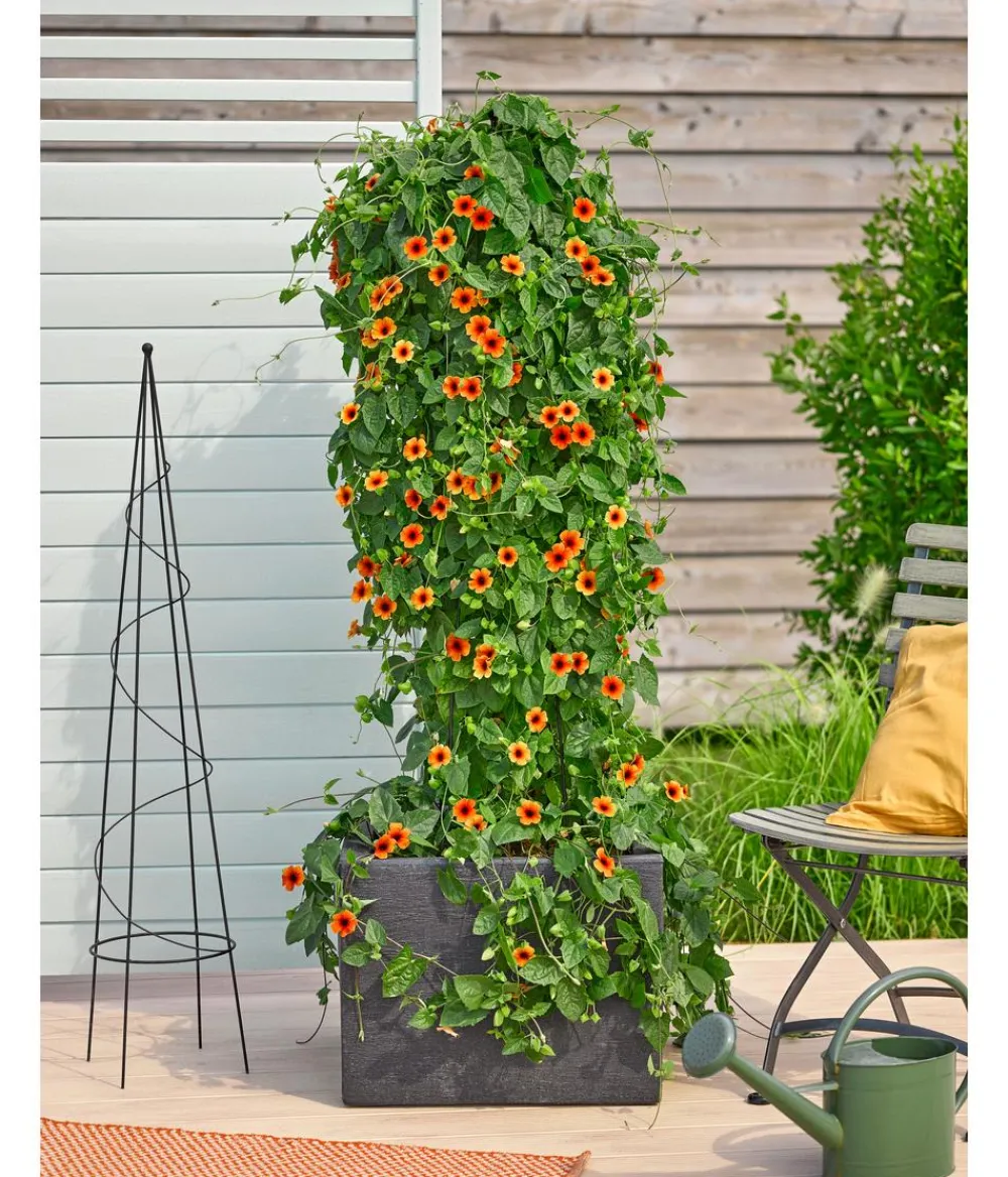 Dehner Metall-Obelisk Oxford Grau
