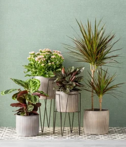 Blumenhocker - Metallpodest Blom Plant Schwarz