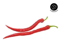 Dehner Peperoni- & Paprikapflanzen - Milde Peperoni Rot