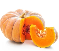 Dehner Gartengemüse|Melonen- & Kürbispflanzen - Mini Muskat-Kürbis Orange