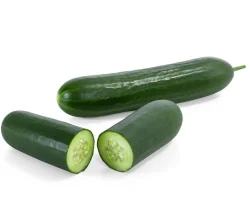 Dehner Zucchini- & Gurkenpflanzen - Mini Schlangengurke Grün
