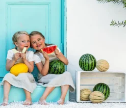 Dehner Weinreben & Gartenobst|Melonen- & Kürbispflanzen - Mini Wassermelone