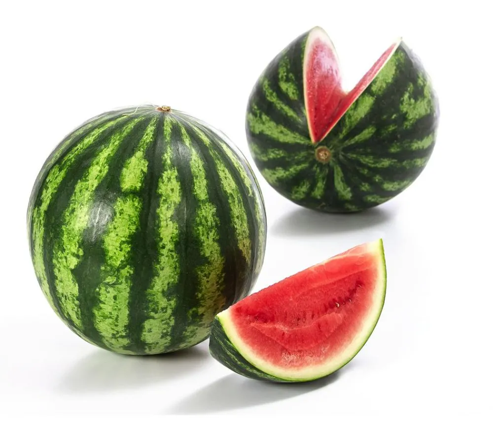 Dehner Weinreben & Gartenobst|Melonen- & Kürbispflanzen - Mini Wassermelone