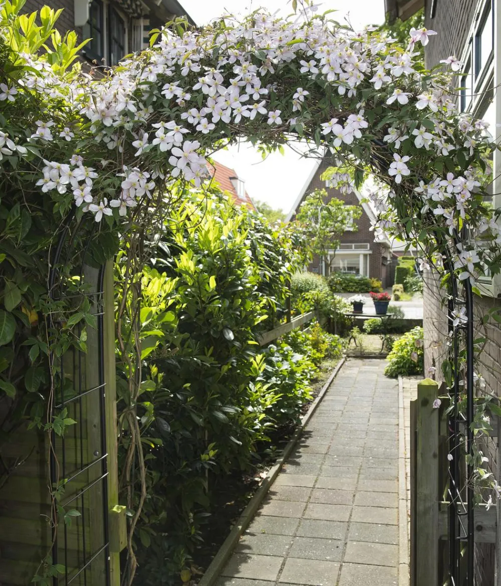 NATURE Rosenbögen - Metall-Rosenbogen, ca. B113/H229/T38 cm Schwarz