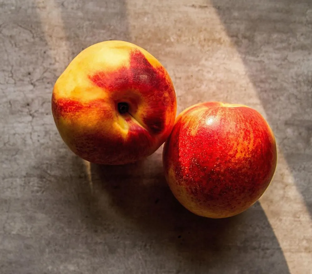 Dehner Obstbäume|Aprikosen- & Pfirsichbäume > Nektarine, verschiedene Sorten