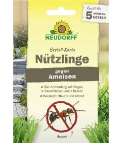 Neudorff Schädlingsbekämpfungsmittel > Bestell-Karte Nützlinge gegen Ameisen, für 5 Nester, 1 Stk.